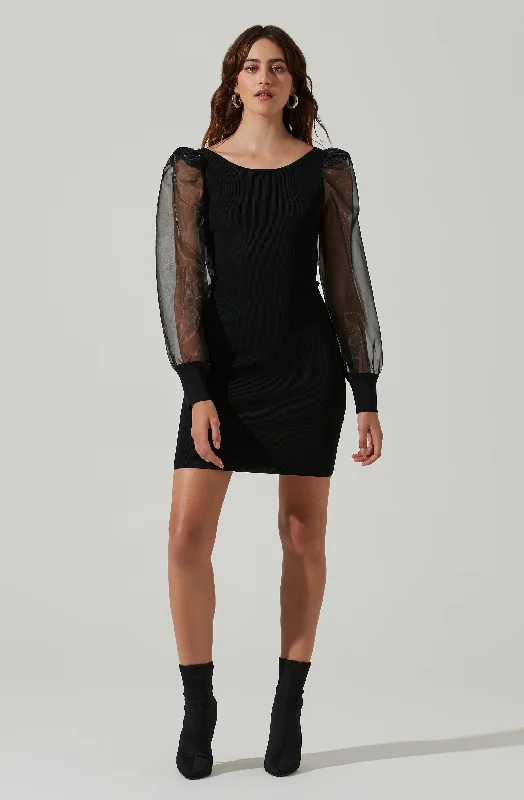 Organza Long Sleeve Mini Dress